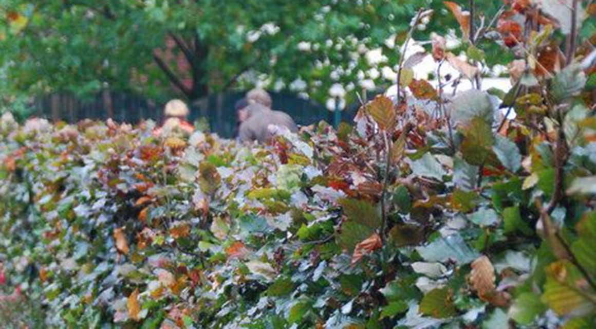 Garten neu gestalten