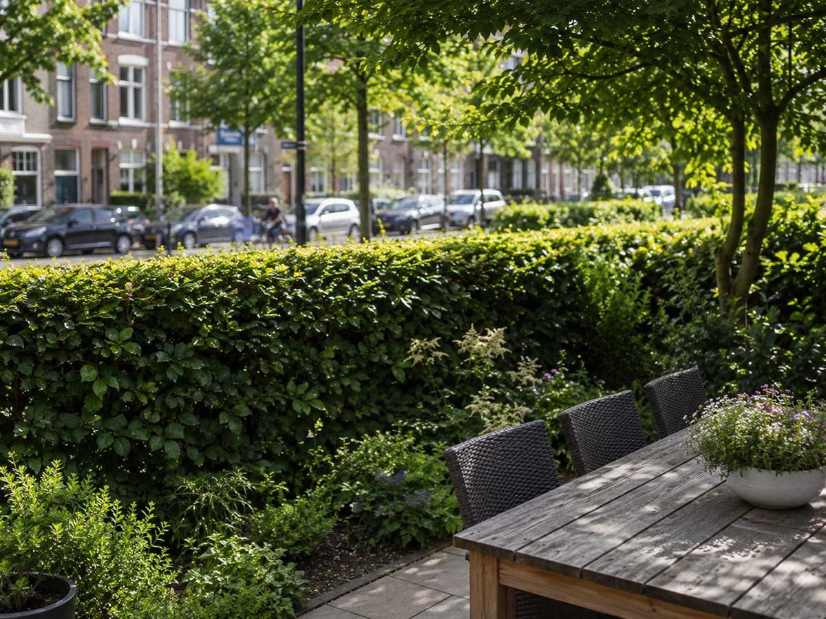 Terrasse mit Privatsphäre durch eine dichte grüne Hecke