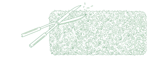 Hecke schneiden