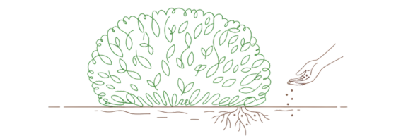 Hecke düngen