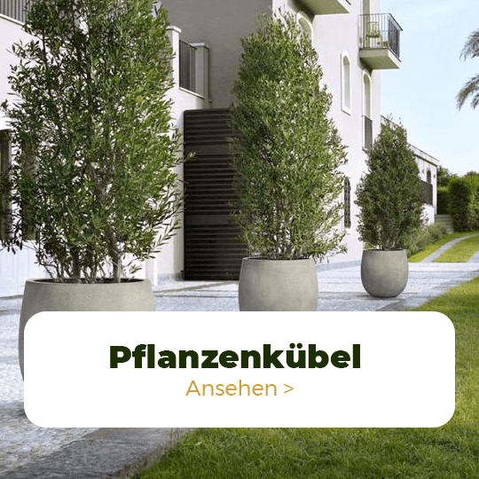 pflanzenkubel