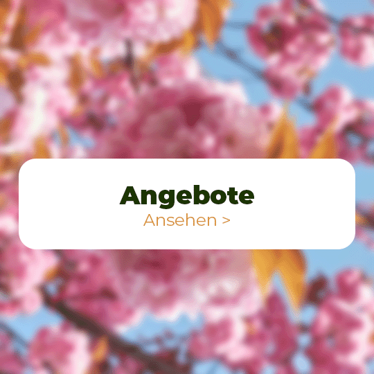 Angebote