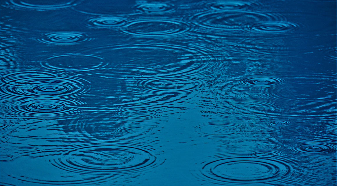 Regenfälle sind für viele Pflanzen nachteilig