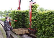 Roden und Pflegen von Fertighecken